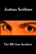 BB Gun Incident