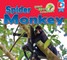 Animals of the Amazon Rainforest: Spider Monkey