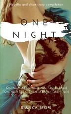One Night At The Palace Hotel