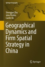 Geographical Dynamics and Firm Spatial Strategy in China