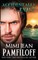 Accidentally...Evil? (An Accidentally Yours Novella)