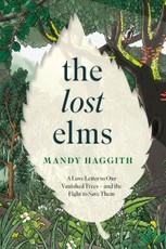The Lost Elms: A Love Letter to Our Vanished Trees - and the Fight to Save Them