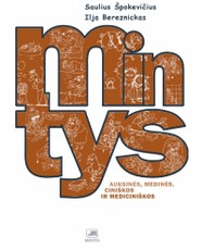 Mintys: auksinės, medinės, ciniškos ir mediciniškos