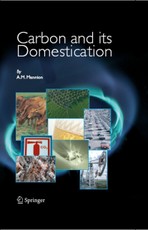 Carbon and its domestication