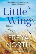 North, F: Little Wing
