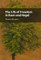 The Life of Freedom in Kant and Hegel