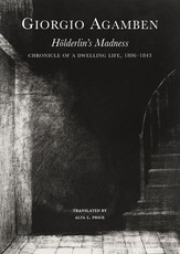 HÃÂ¶lderlin's Madness
