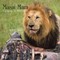 Shah, A: Masai Mara Capturing the Wilderness