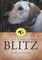 It's, It's A Dog Named Blitz