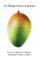 Un Mango Grows in Kansas