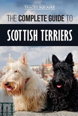 The Complete Guide to Scottish Terriers