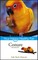 Conure
