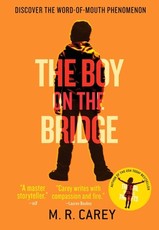 Boy on the Bridge