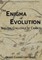 The Enigma of Evolution and the Challenge of Chance