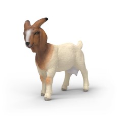 SCHLEICH FARM WORLD BOER Ožka