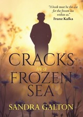 Cracks in a Frozen Sea