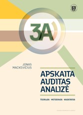 3A – apskaita, auditas, analizė