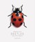 Bugs and Other Insects