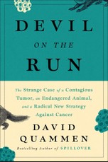 Devil on the Run