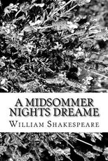 A Midsommer Nights Dreame