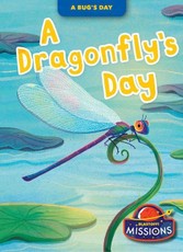 A Dragonfly's Day