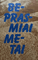 Beprasmiai metai