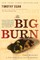 The Big Burn
