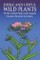Edible and Useful Wild Plants of the United States and Canada