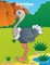 Ostriches Coloring Book 1