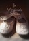 In Virginia's Shoes