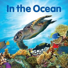 In the Ocean