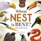 Whose Nest Is Best?