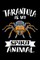 Tarantula Is My Spirit Animal