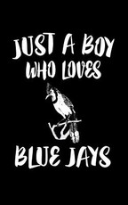 Just A Boy Who Loves Blue Jays