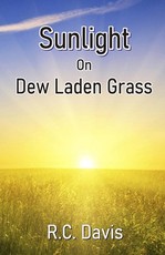 Sunlight On Dew Laden Grass