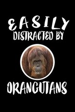 Easily Distracted By Orangutans