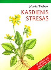 Kasdienis stresas