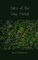 Tales of the Tiny Forest
