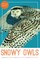 A Picture Book of Snowy Owls