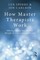 How Master Therapists Work