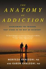 Anatomy of Addiction