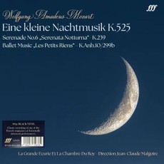 Vinilinė plokštelė LP MOZART WOLFGANG AMADEUS „Eine Kleine Nachtmusik K.525“ (Black Vinyl) (LP)