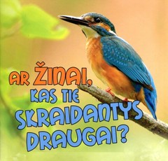 Ar žinai, kas tie skraidantys draugai?
