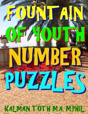 Fountain of Youth Number Puzzles