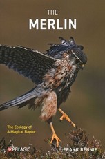 The Merlin