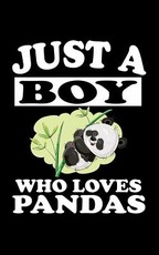 Just A Boy Who Loves Pandas