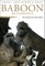Baboon Metaphysics