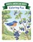 North American Birds