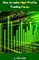 How to Make High Profits Trading Forex