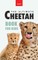Cheetahs